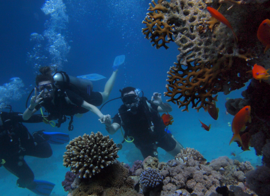 roatan snorkeling excursion