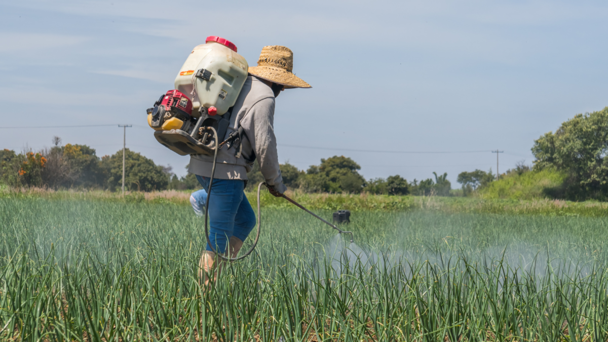 productos agrícolas de Distribuidora JAM