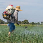 productos agrícolas de Distribuidora JAM