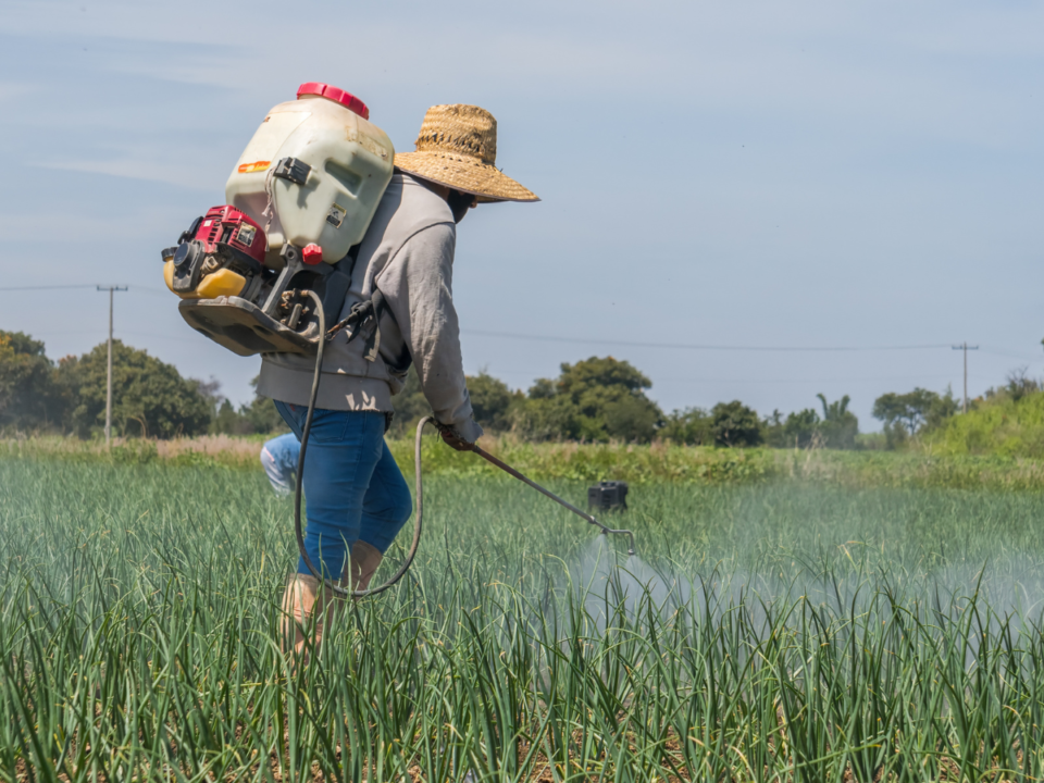 productos agrícolas de Distribuidora JAM