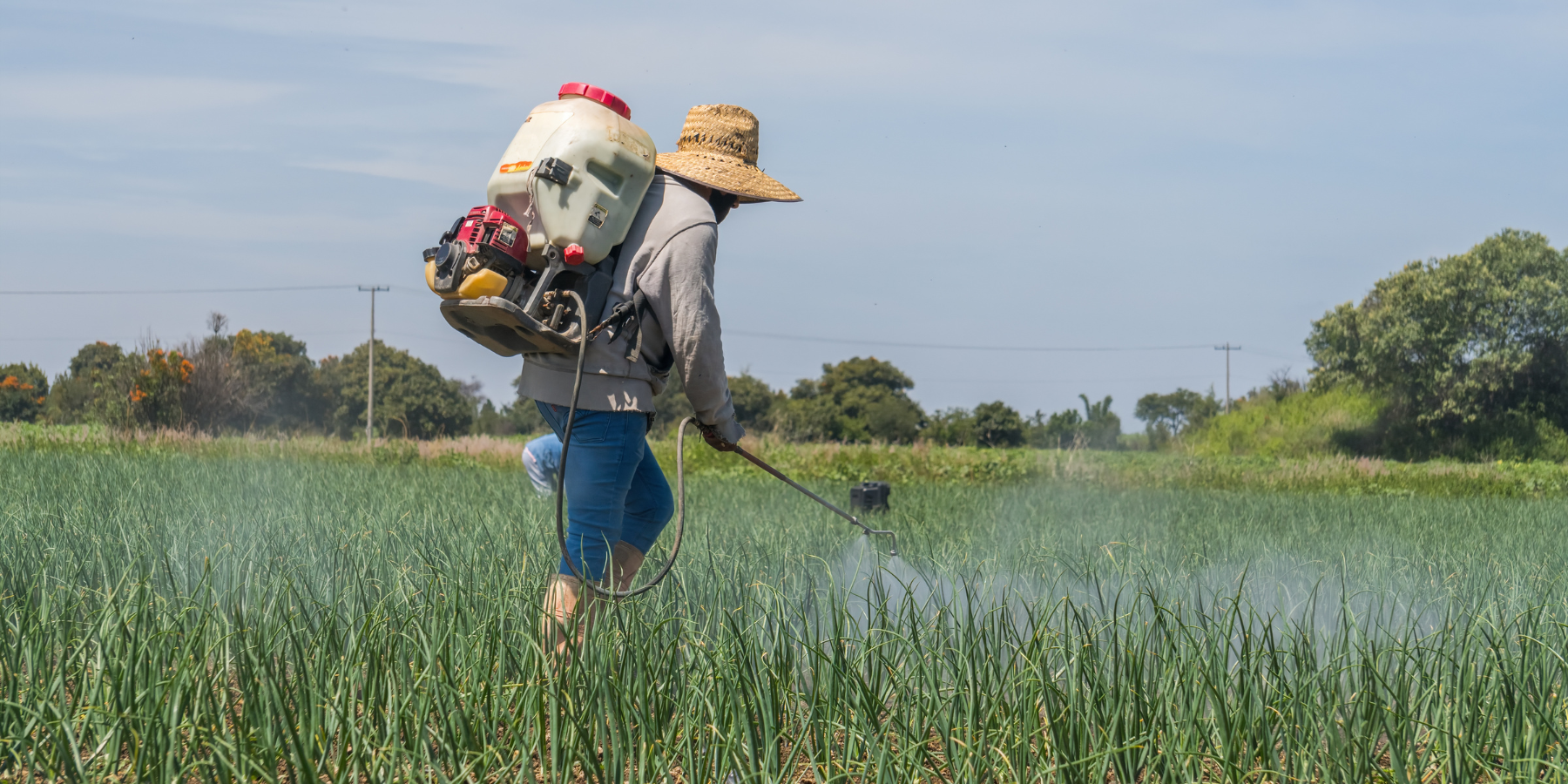 productos agrícolas de Distribuidora JAM